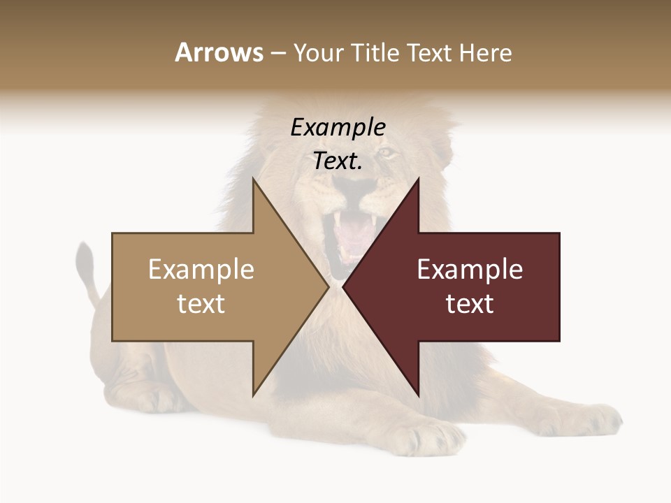 Roaring Yawning Snarling PowerPoint Template