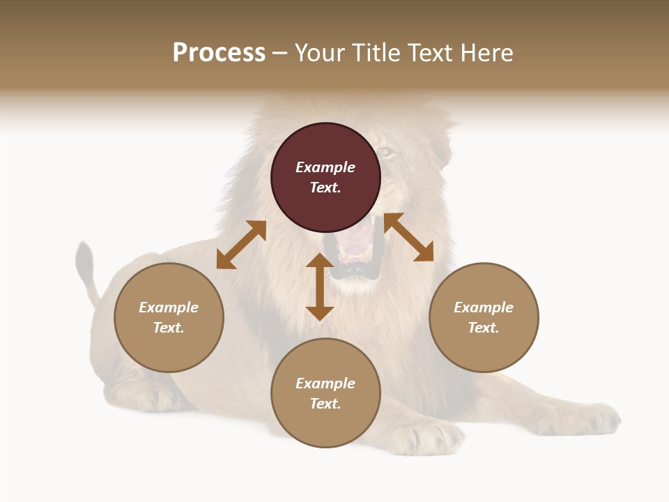 Roaring Yawning Snarling PowerPoint Template