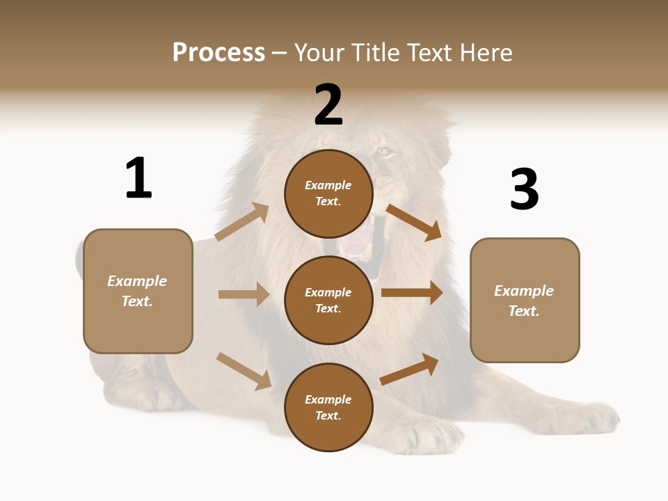 Roaring Yawning Snarling PowerPoint Template