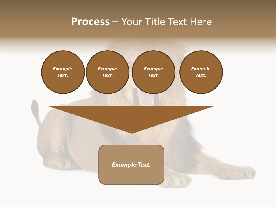 Roaring Yawning Snarling PowerPoint Template