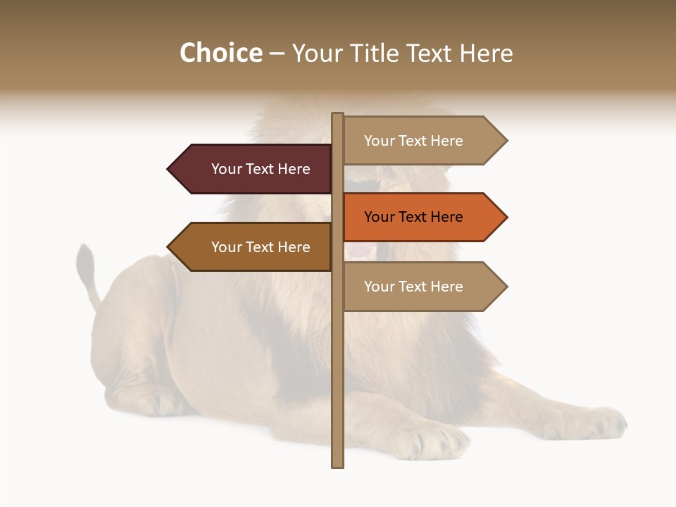 Roaring Yawning Snarling PowerPoint Template