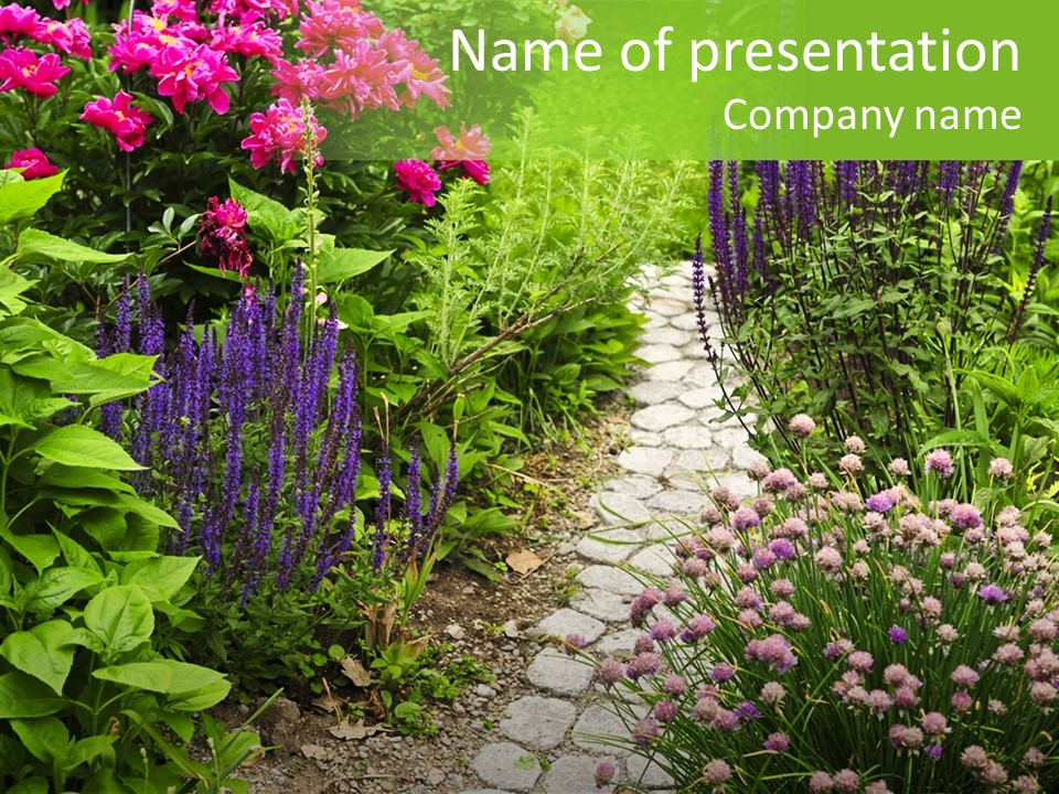 Garden Pave Backyard PowerPoint Template