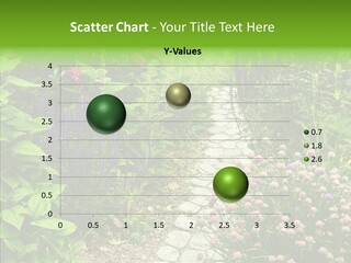 Garden Pave Backyard PowerPoint Template