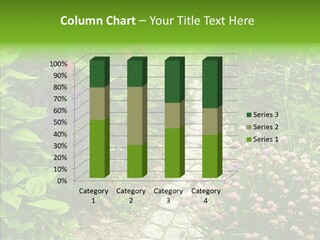 Garden Pave Backyard PowerPoint Template