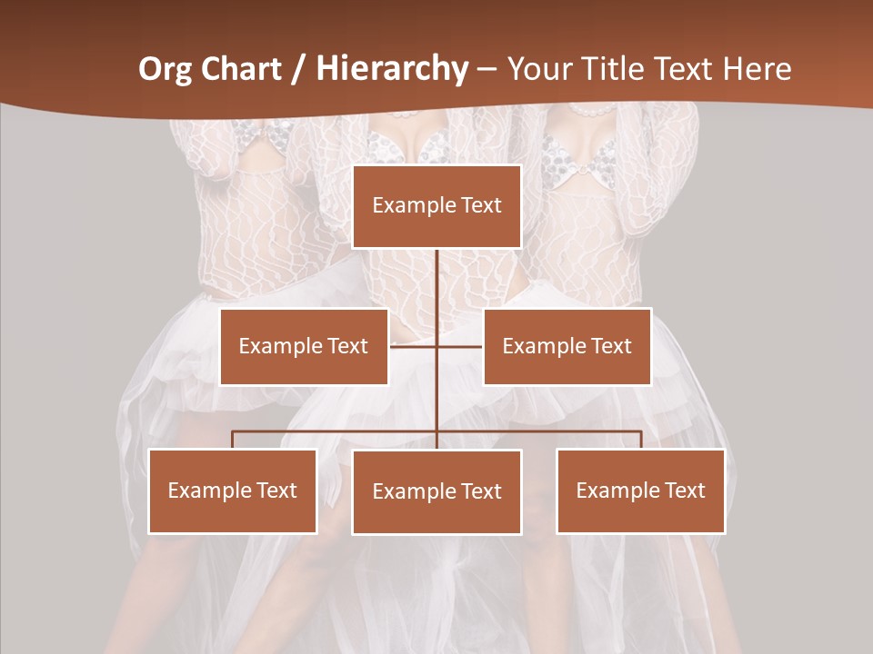 Profe Ional Corporate Figure PowerPoint Template