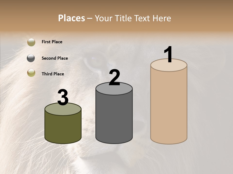 Feline Aggressive Pride PowerPoint Template