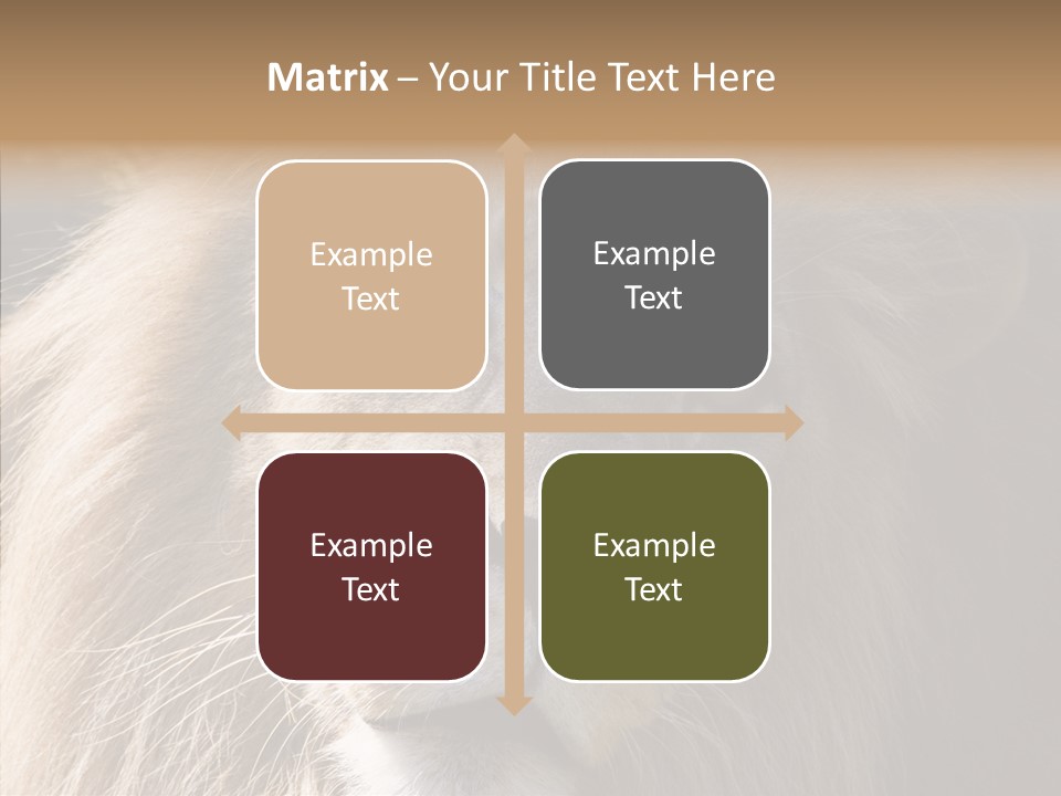 Feline Aggressive Pride PowerPoint Template