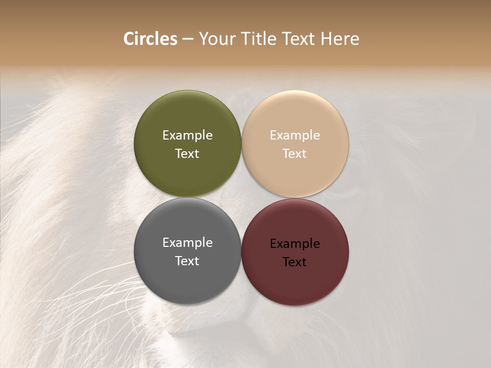 Feline Aggressive Pride PowerPoint Template