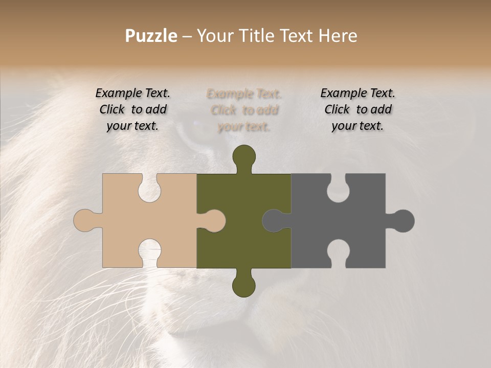 Feline Aggressive Pride PowerPoint Template