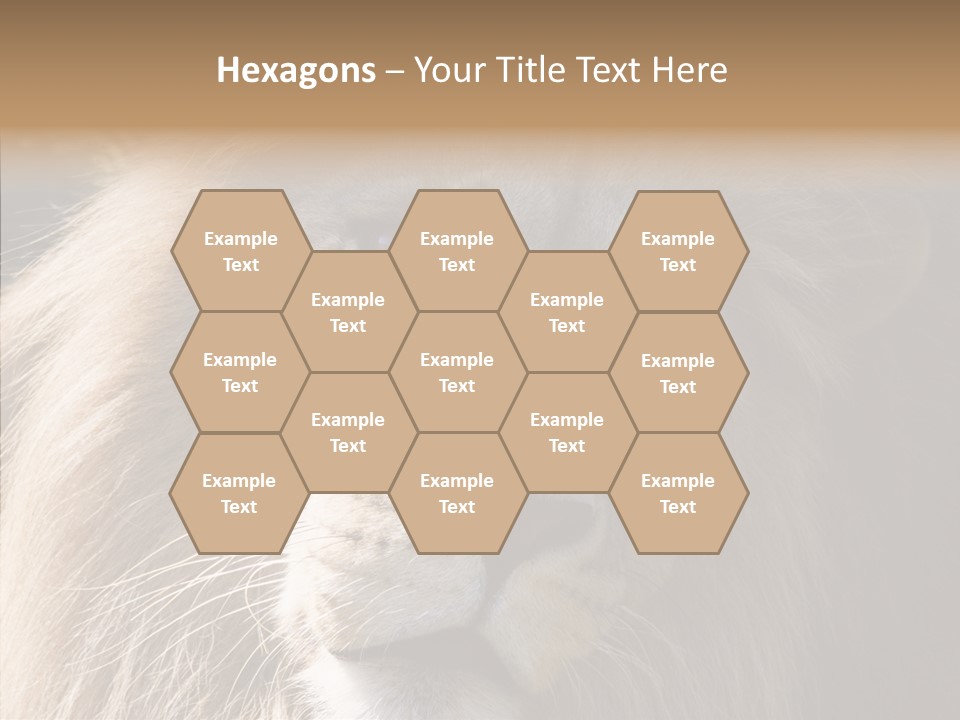 Feline Aggressive Pride PowerPoint Template