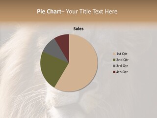 Feline Aggressive Pride PowerPoint Template