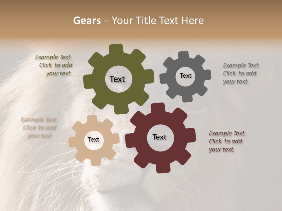 Feline Aggressive Pride PowerPoint Template