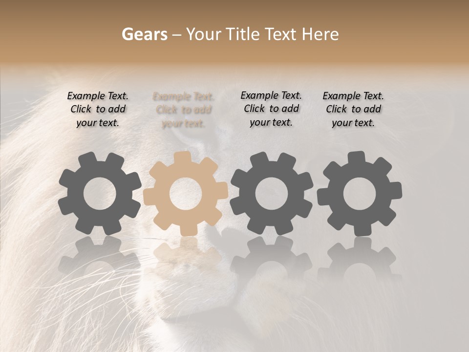 Feline Aggressive Pride PowerPoint Template