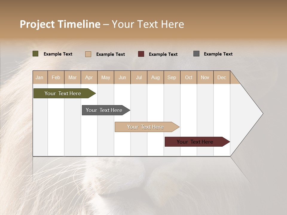 Feline Aggressive Pride PowerPoint Template