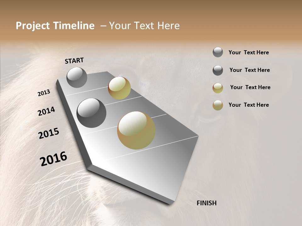 Feline Aggressive Pride PowerPoint Template