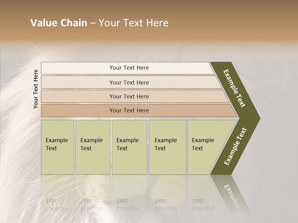 Feline Aggressive Pride PowerPoint Template