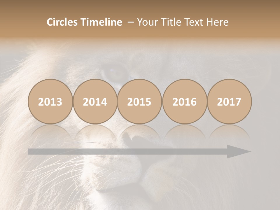 Feline Aggressive Pride PowerPoint Template