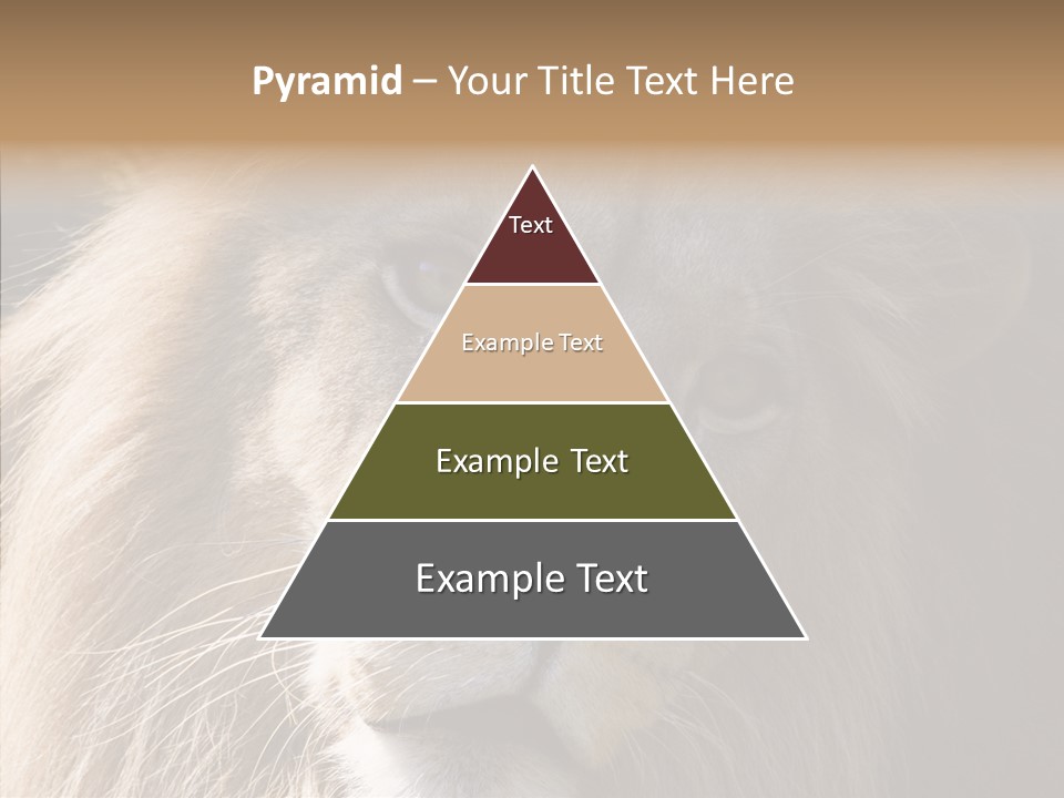 Feline Aggressive Pride PowerPoint Template