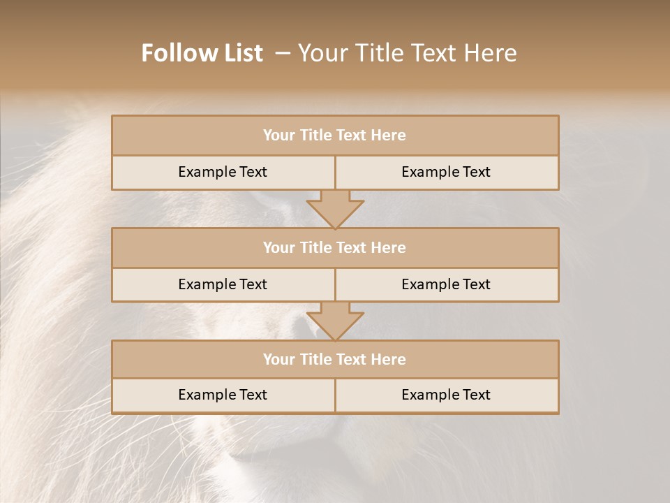 Feline Aggressive Pride PowerPoint Template