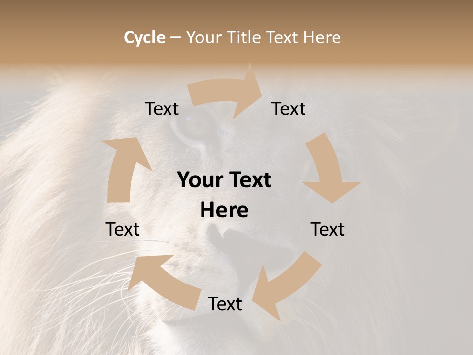 Feline Aggressive Pride PowerPoint Template