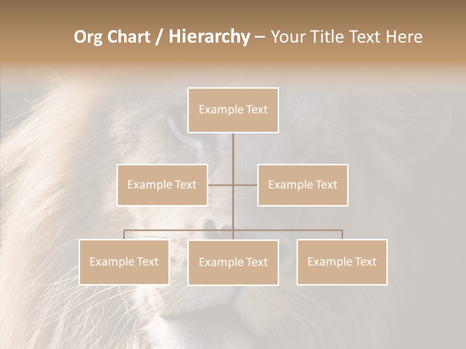 Feline Aggressive Pride PowerPoint Template