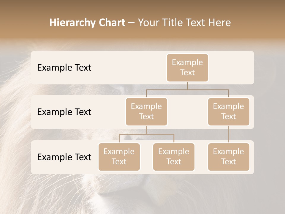 Feline Aggressive Pride PowerPoint Template