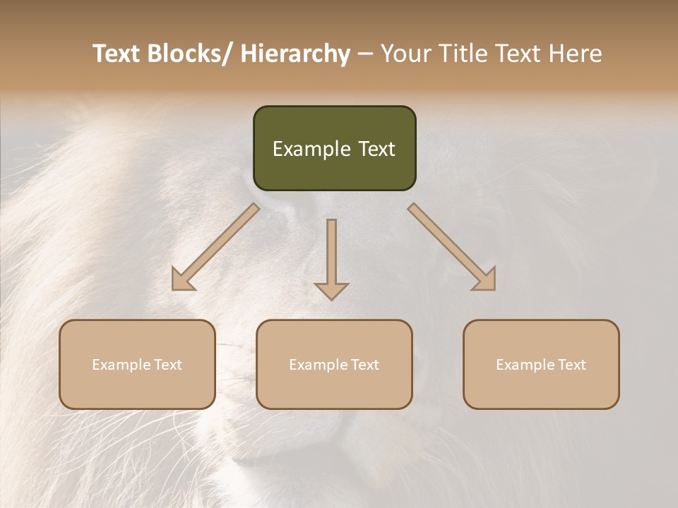Feline Aggressive Pride PowerPoint Template