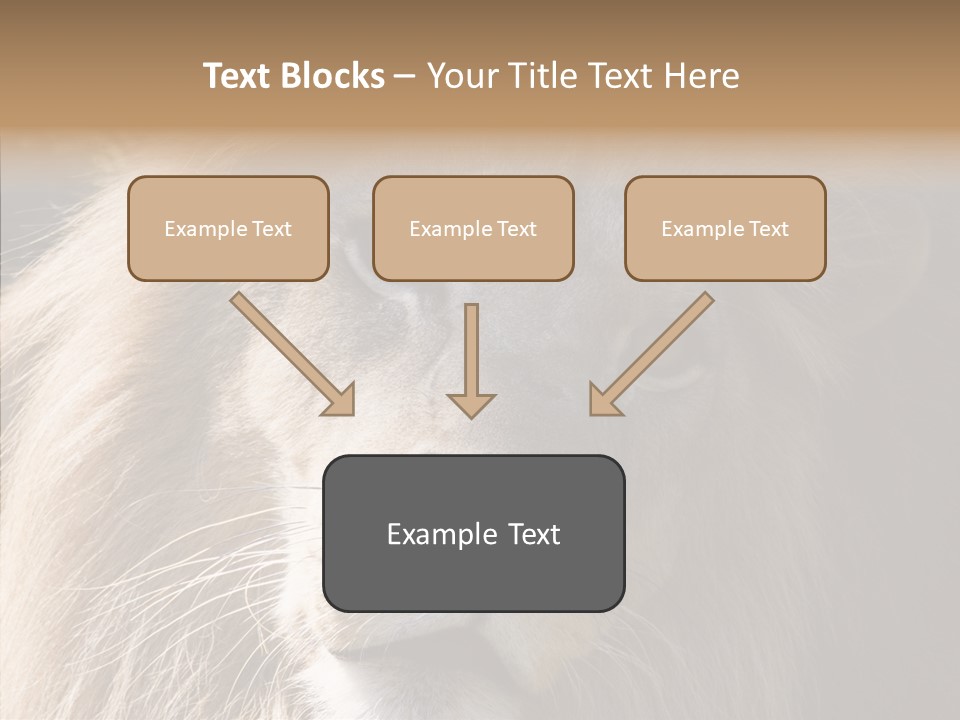 Feline Aggressive Pride PowerPoint Template