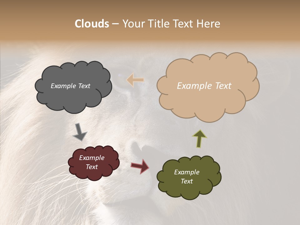 Feline Aggressive Pride PowerPoint Template