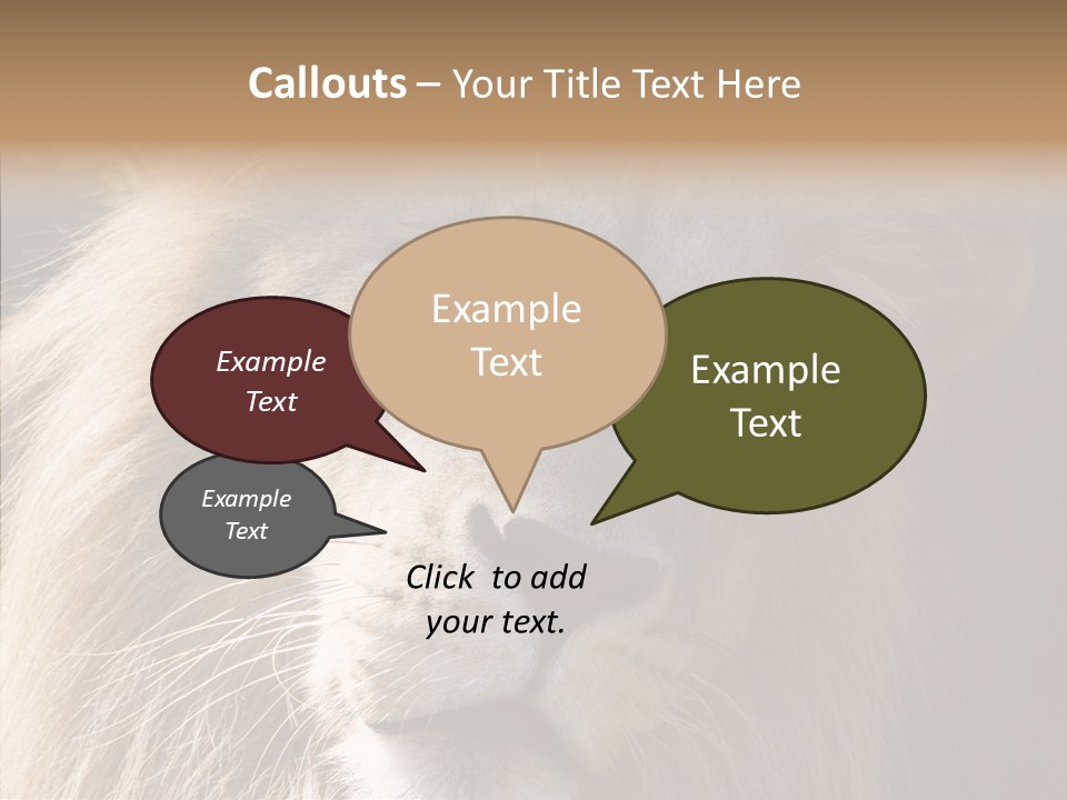 Feline Aggressive Pride PowerPoint Template