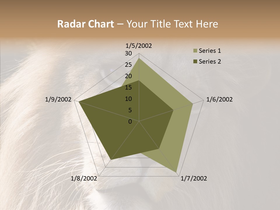 Feline Aggressive Pride PowerPoint Template