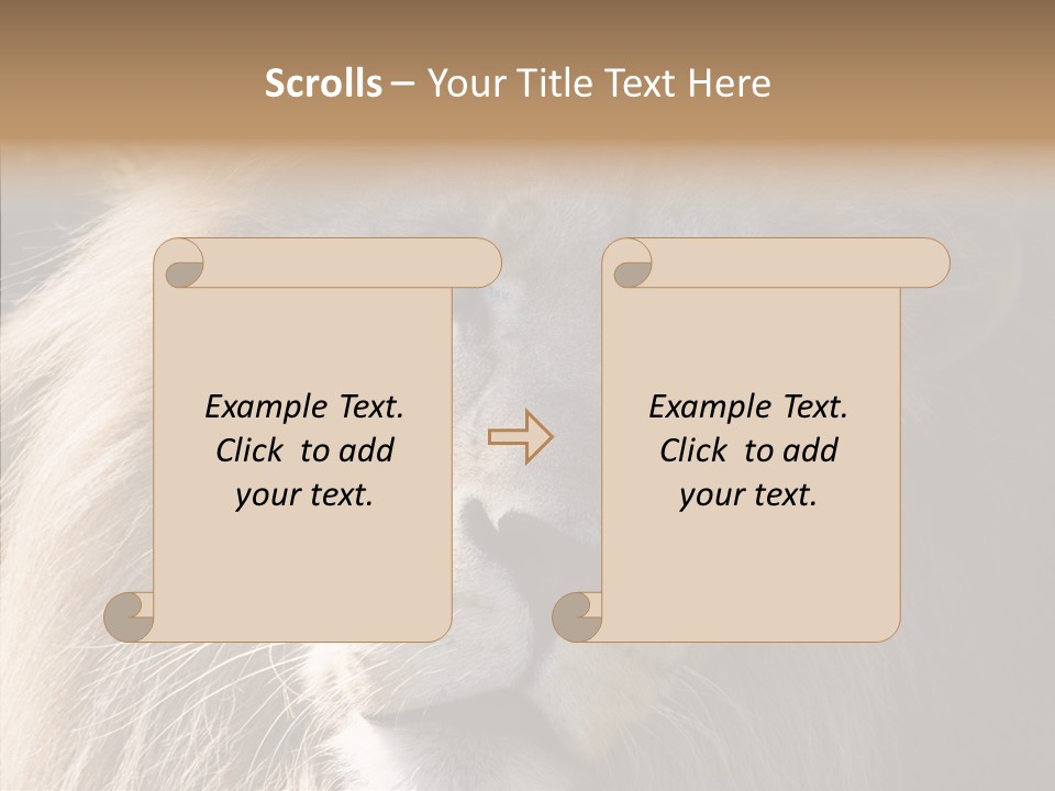 Feline Aggressive Pride PowerPoint Template