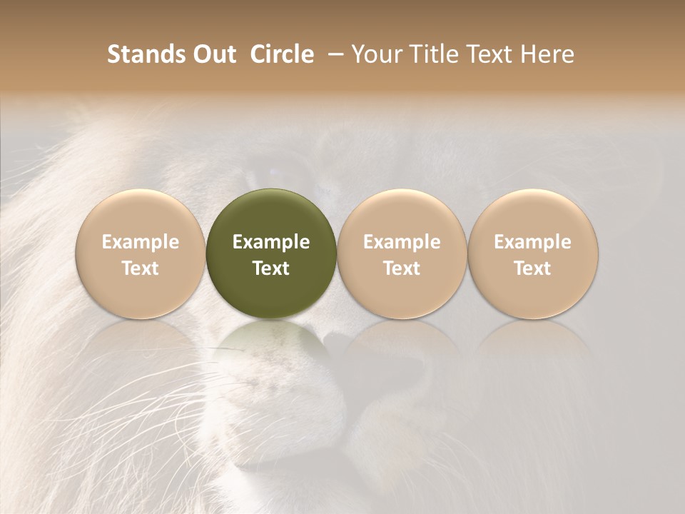 Feline Aggressive Pride PowerPoint Template