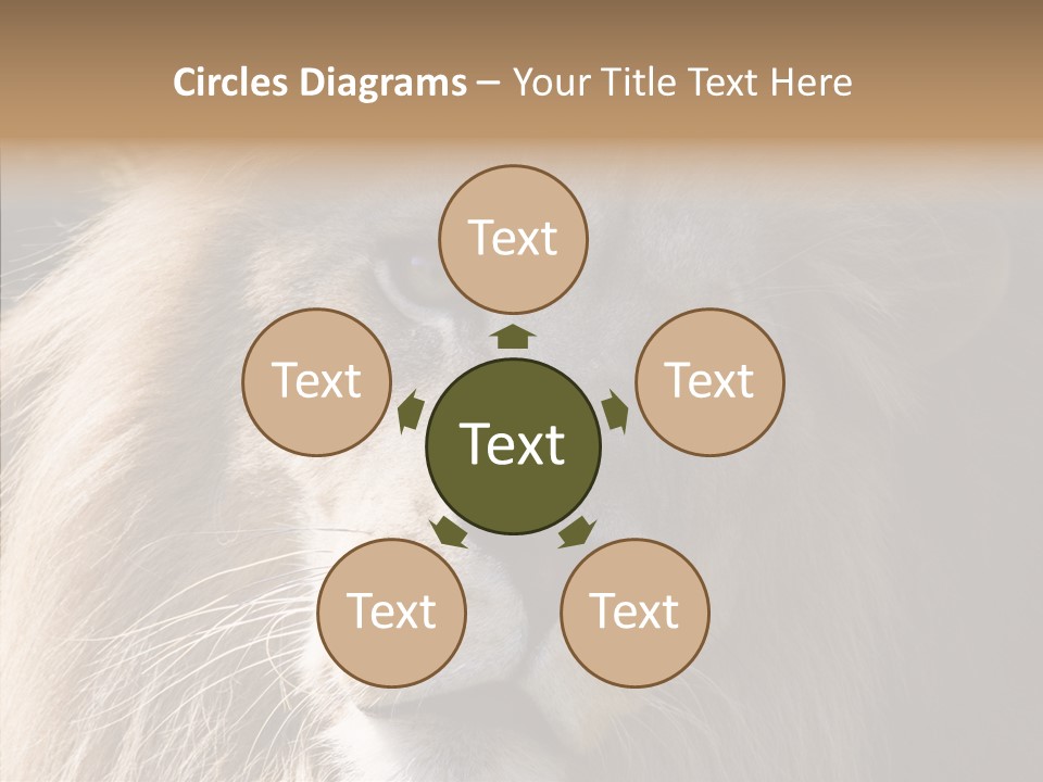 Feline Aggressive Pride PowerPoint Template