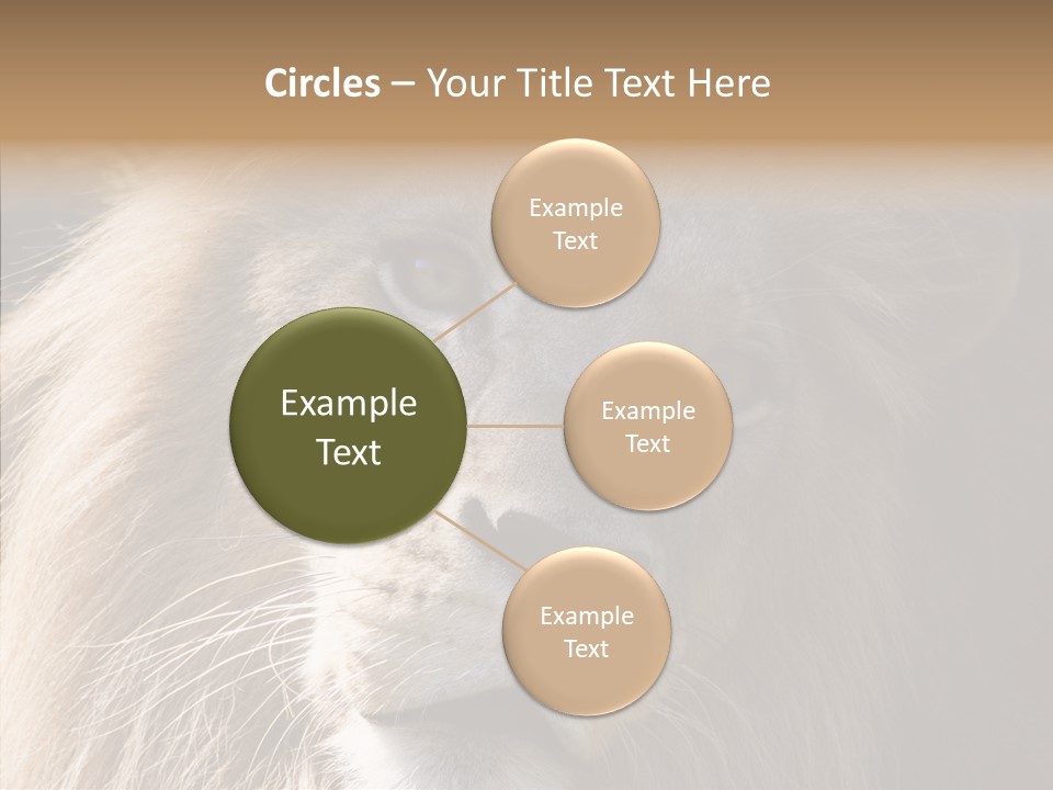 Feline Aggressive Pride PowerPoint Template