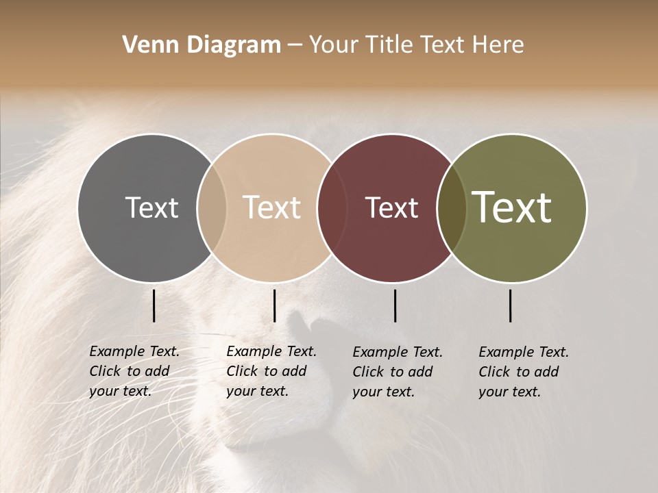 Feline Aggressive Pride PowerPoint Template