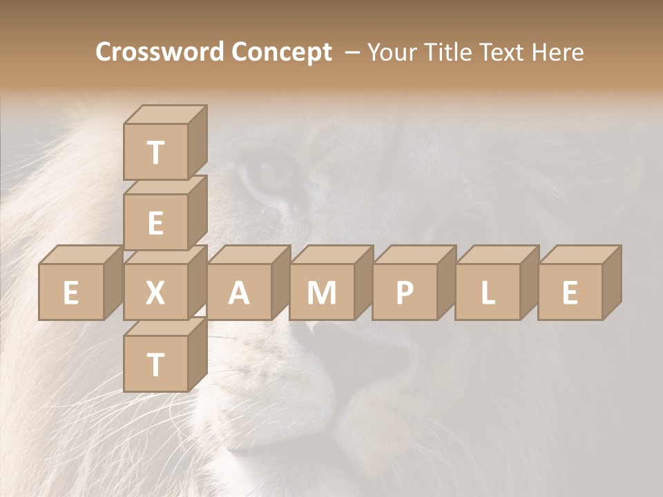 Feline Aggressive Pride PowerPoint Template