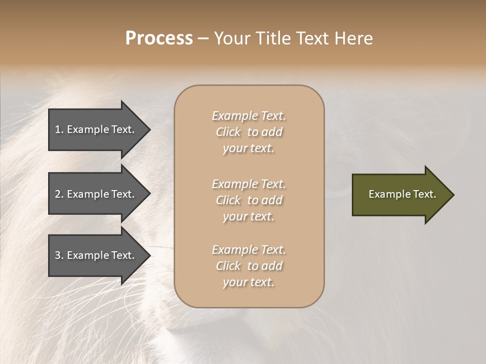 Feline Aggressive Pride PowerPoint Template