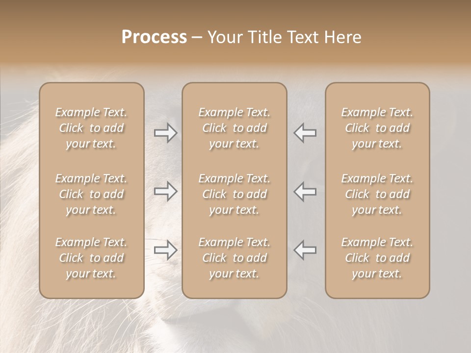 Feline Aggressive Pride PowerPoint Template