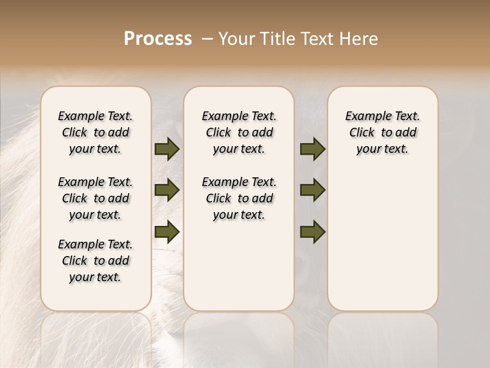 Feline Aggressive Pride PowerPoint Template