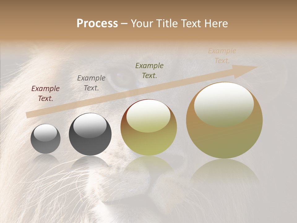 Feline Aggressive Pride PowerPoint Template