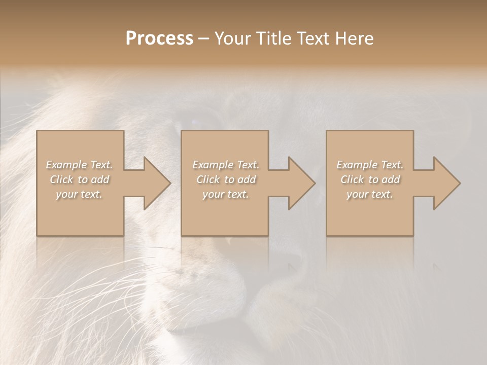 Feline Aggressive Pride PowerPoint Template