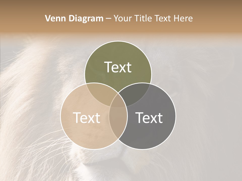 Feline Aggressive Pride PowerPoint Template