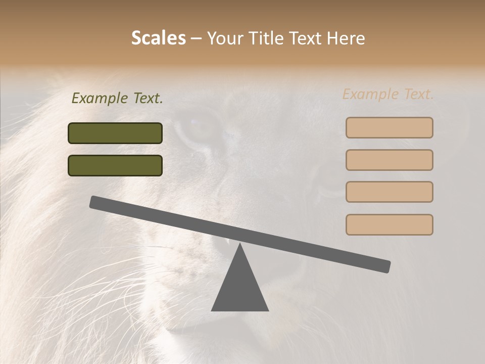 Feline Aggressive Pride PowerPoint Template