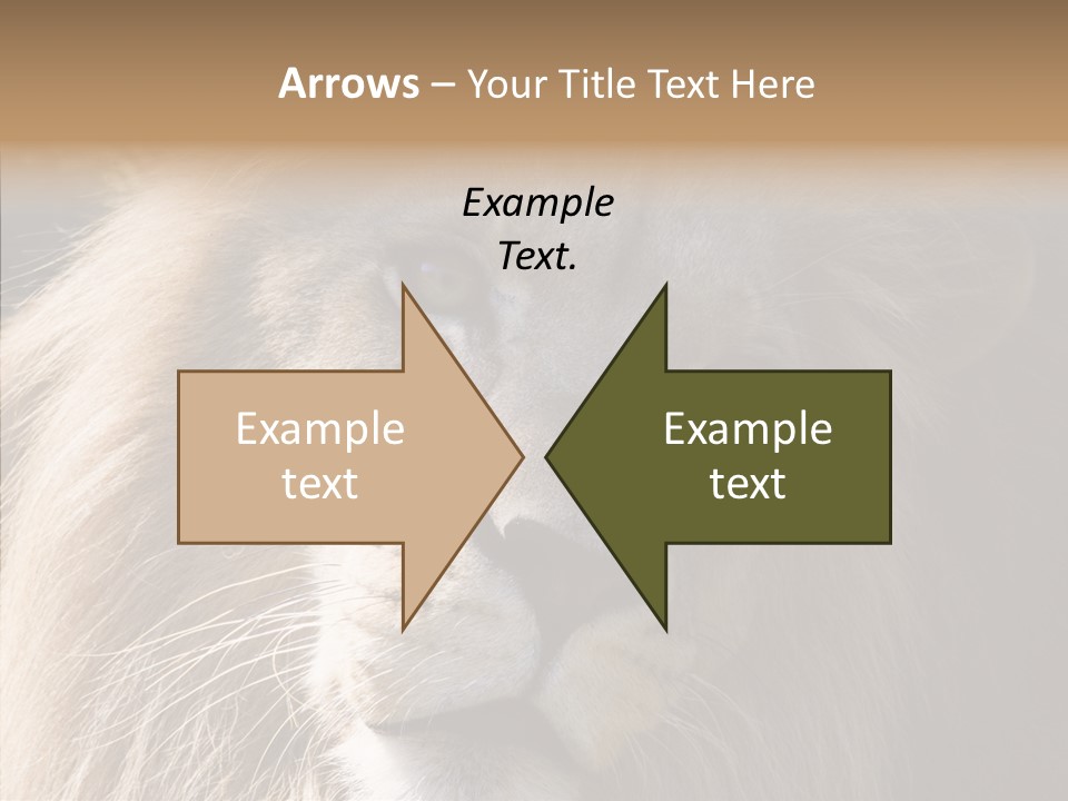 Feline Aggressive Pride PowerPoint Template