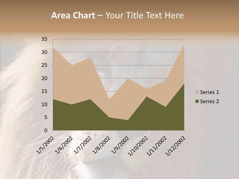 Feline Aggressive Pride PowerPoint Template