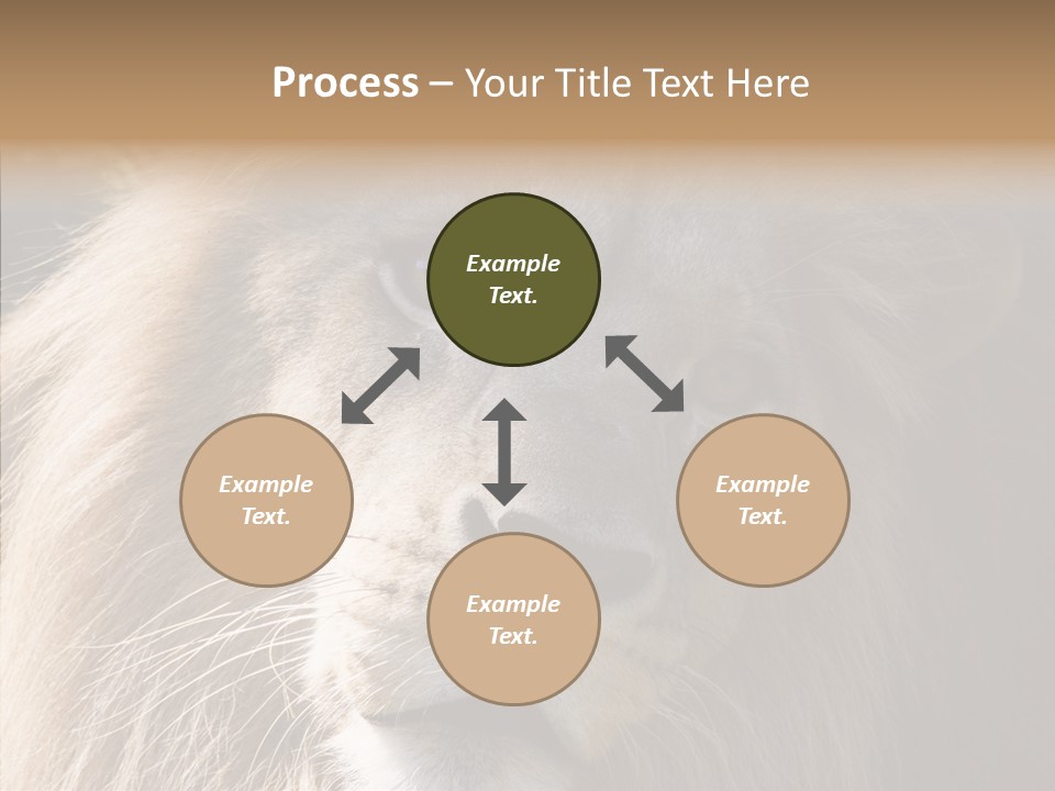 Feline Aggressive Pride PowerPoint Template