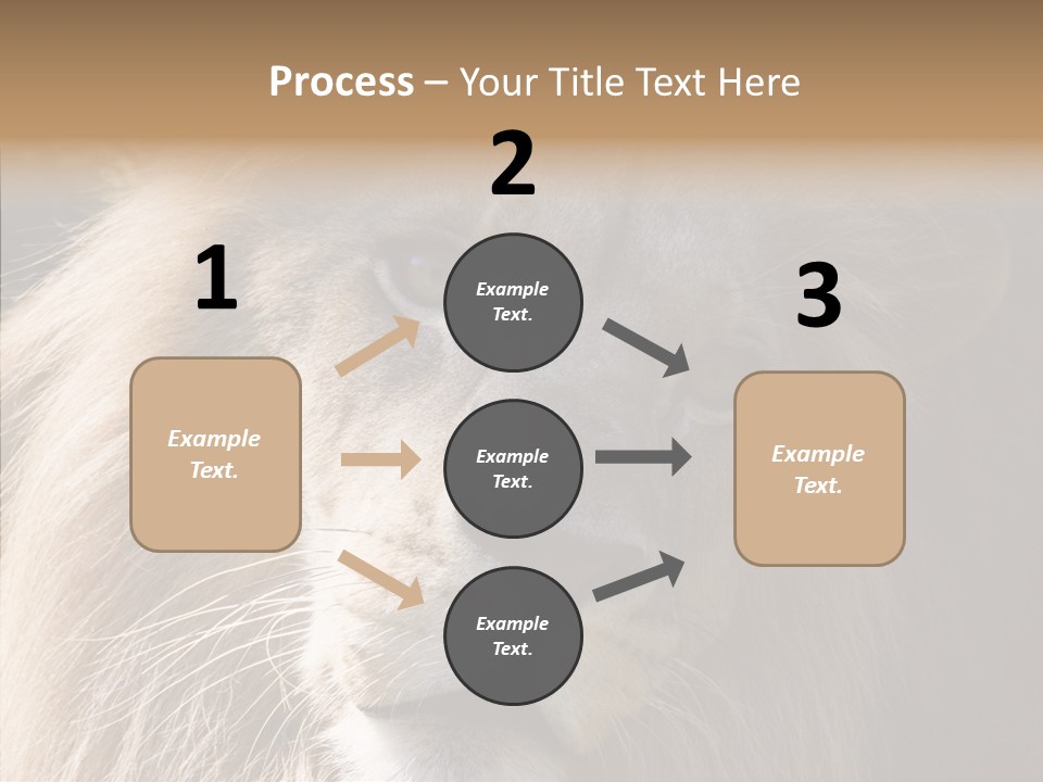 Feline Aggressive Pride PowerPoint Template