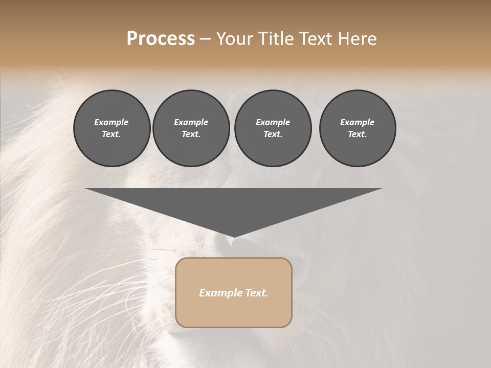 Feline Aggressive Pride PowerPoint Template