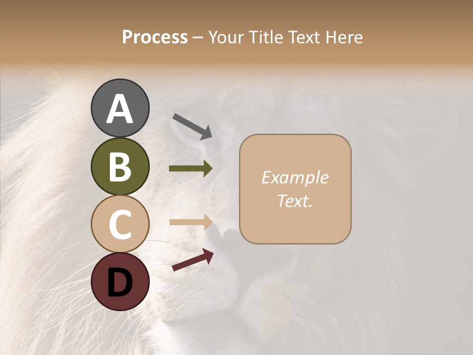 Feline Aggressive Pride PowerPoint Template